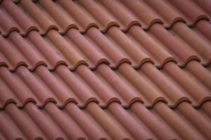 Essential Roof Cleaning for a Healthy Home