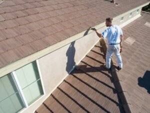 Essential Roof Cleaning for a Healthy Home