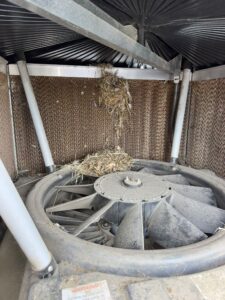 FreshDuct Melbourne : Sydney Evaporative Cooler Service Repair And Cleaning