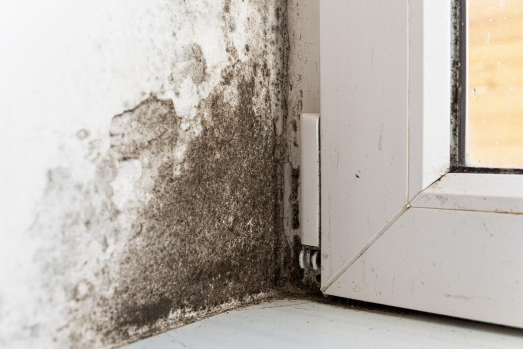 Mold