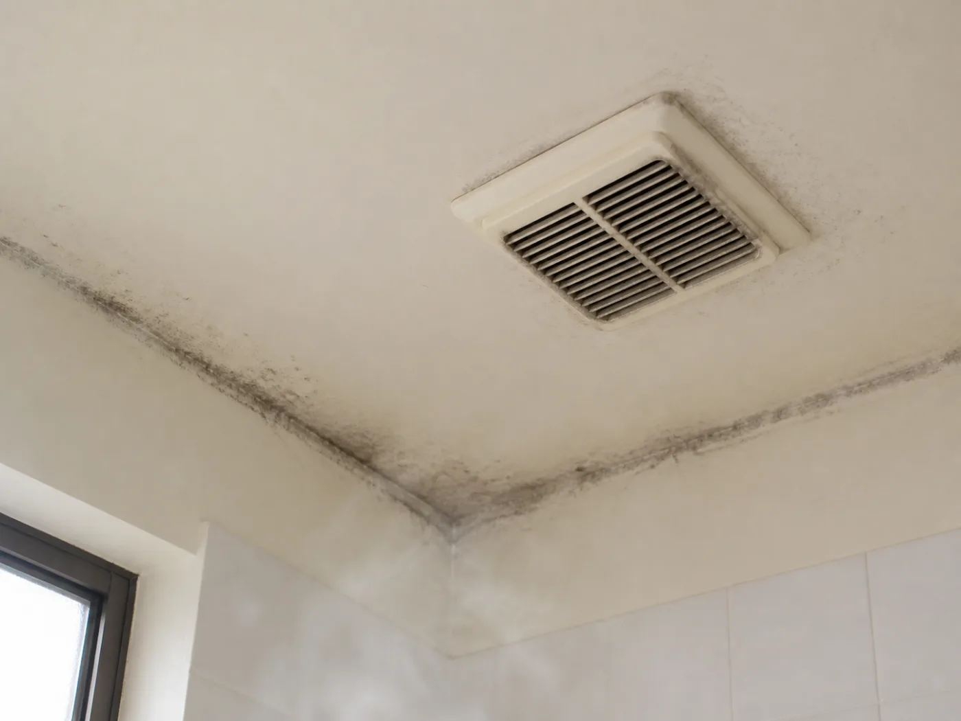 Illustration: where bathroom mould establishes first - and why it is always the coldest surfaces