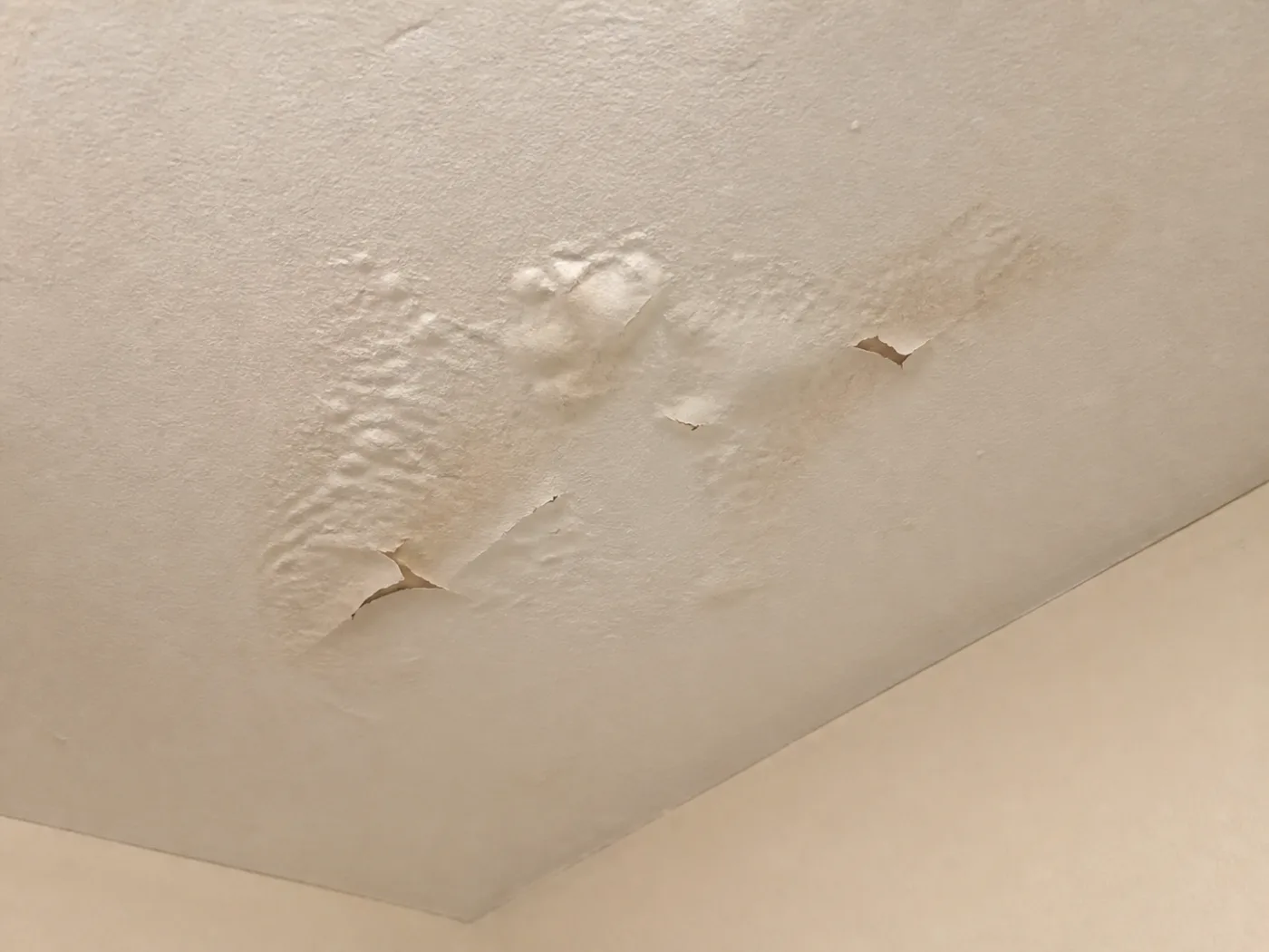 Paint bubbling and lifting - moisture damage before the mould shows