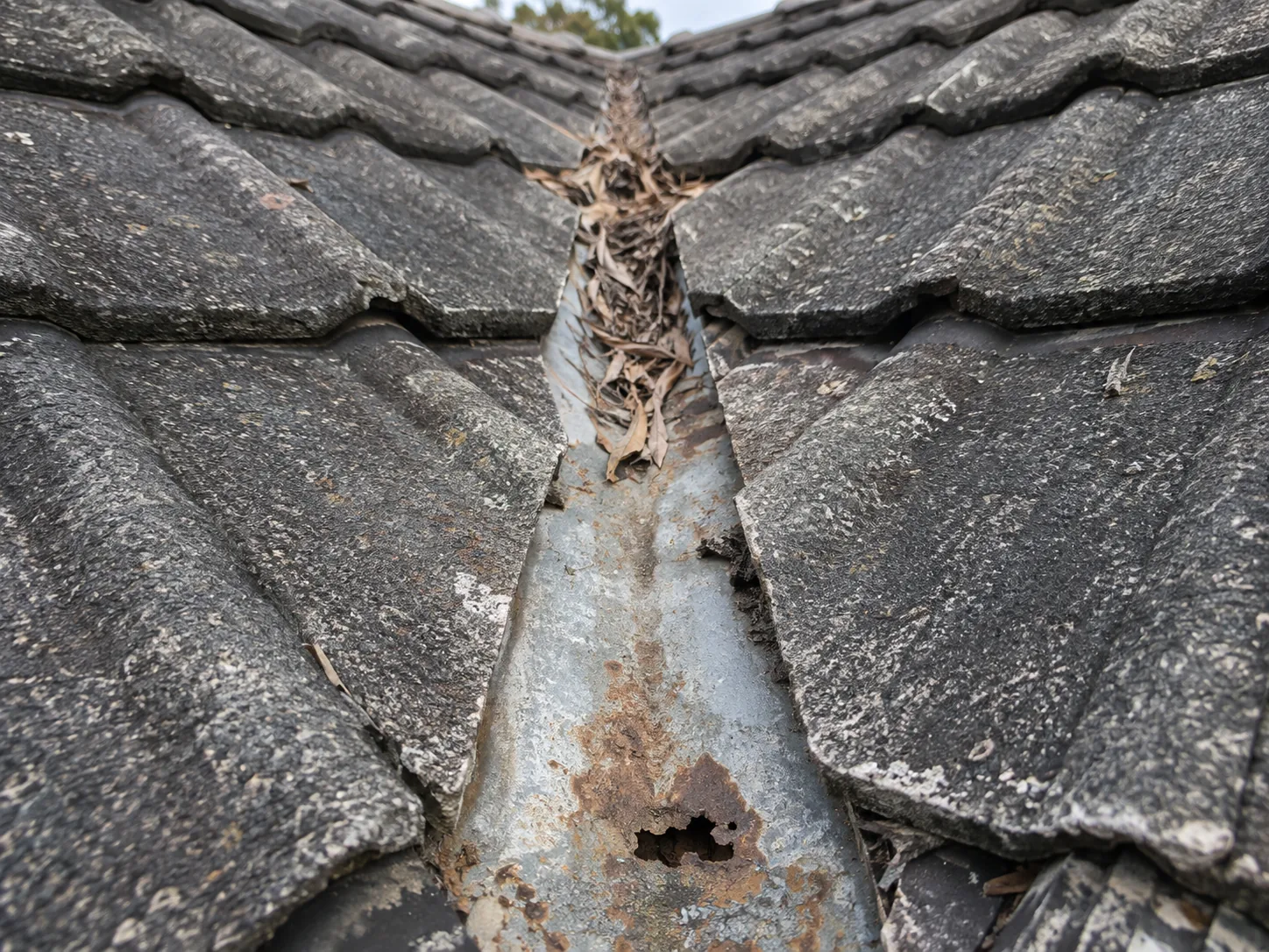 A rusted-through valley iron between two tile slopes with leaf litter dammed in the channel
