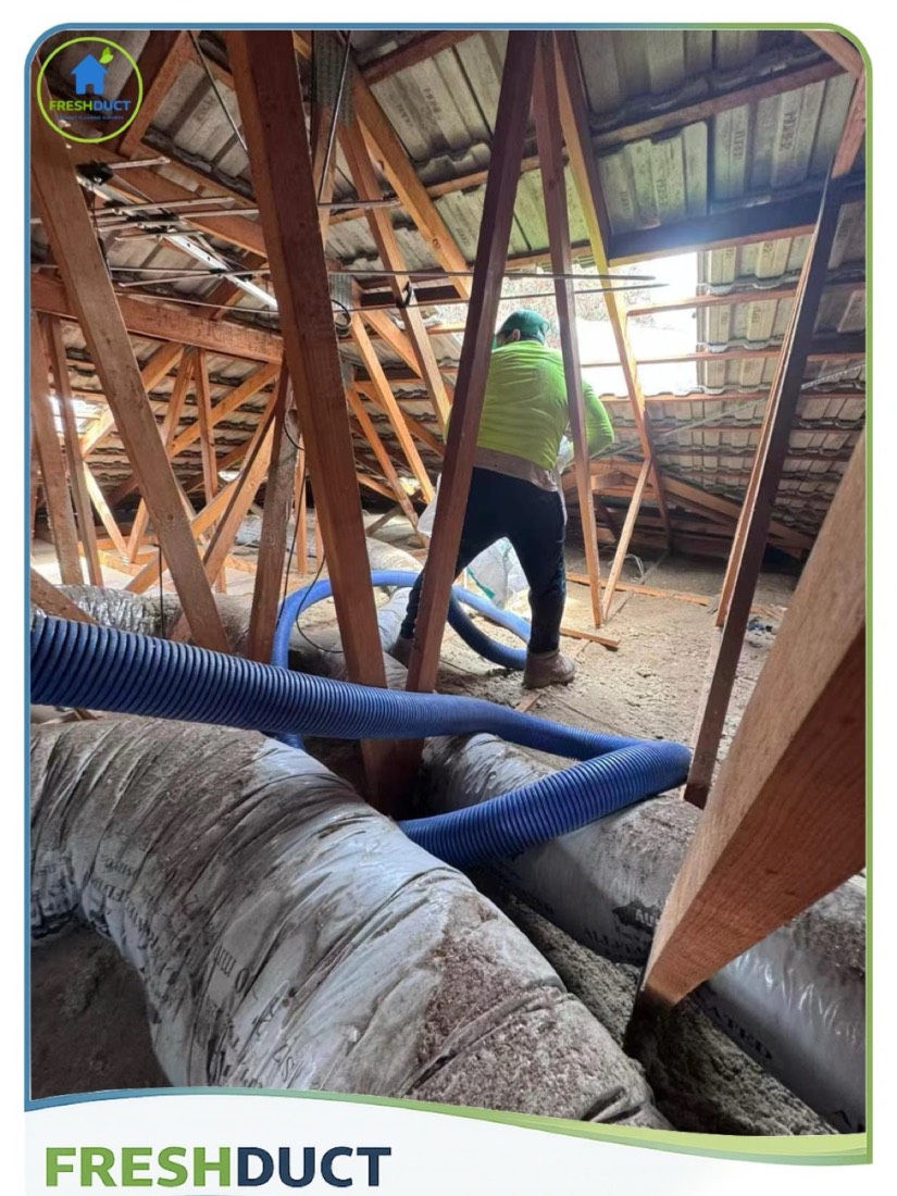 FreshDuct technician vacuuming old blow-in insulation out of a roof space