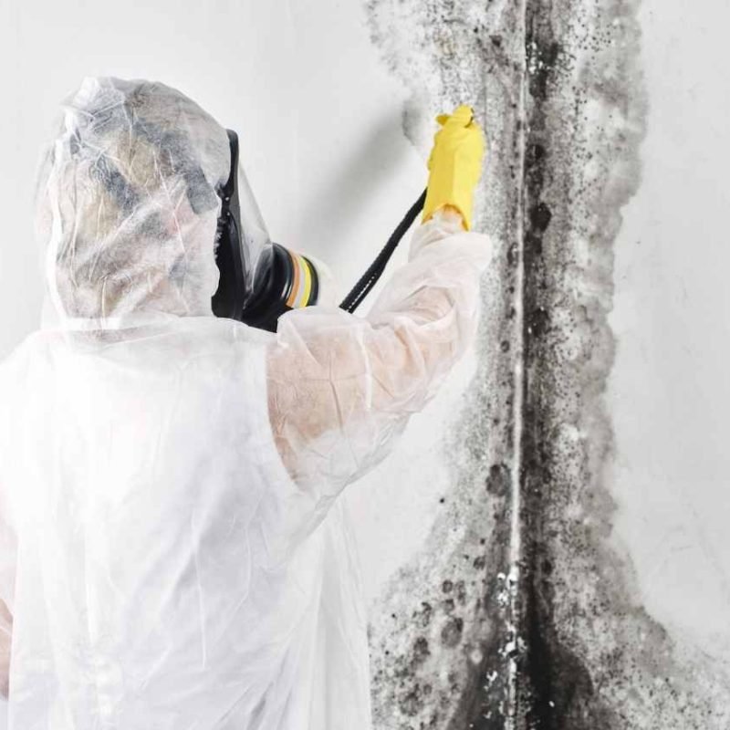 FreshDuct Mold remediation Services Melbourne