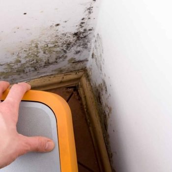 FreshDuct Mold remediation Services Melbourne