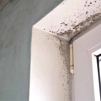 FreshDuct Mold remediation Services Melbourne