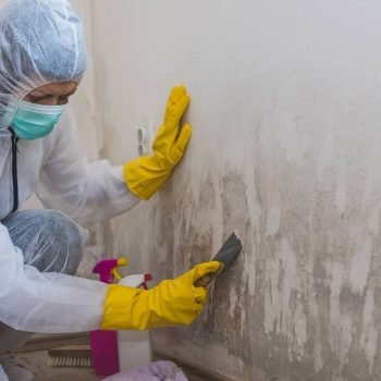 FreshDuct Mold remediation Services Melbourne