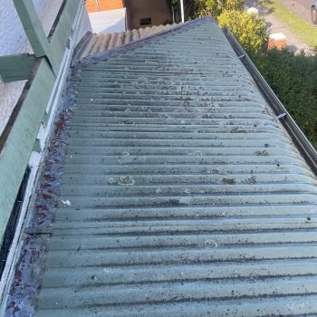 Freshduct melbourne house roof external cleaning before