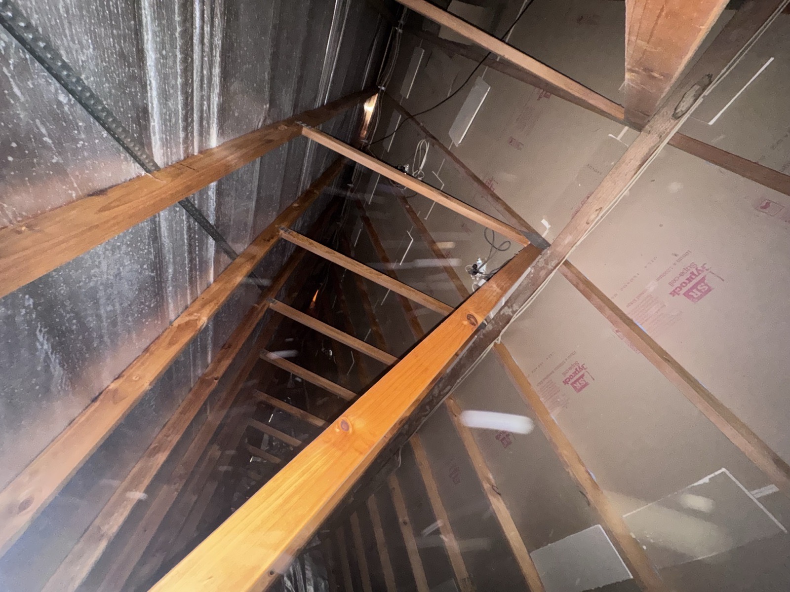 Camberwell roof space vacuumed clean