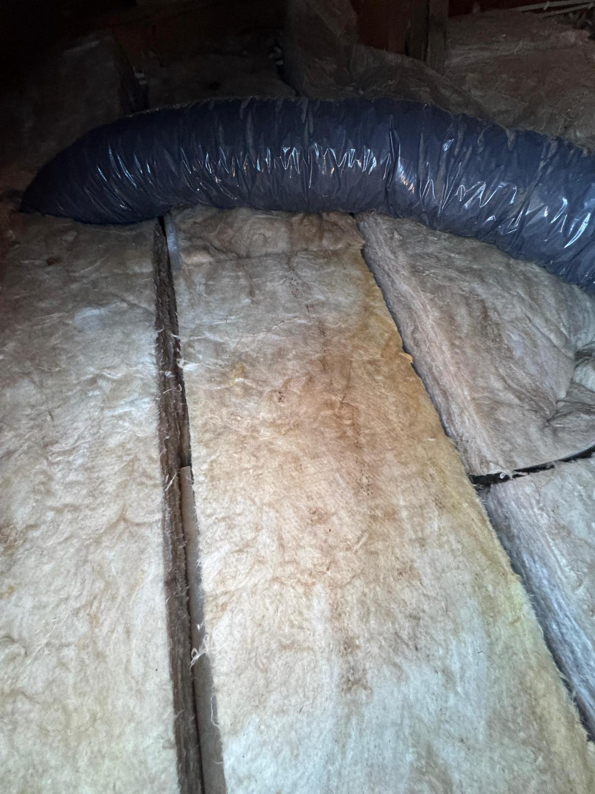 R6.0 batts fitted between joists Doncaster East
