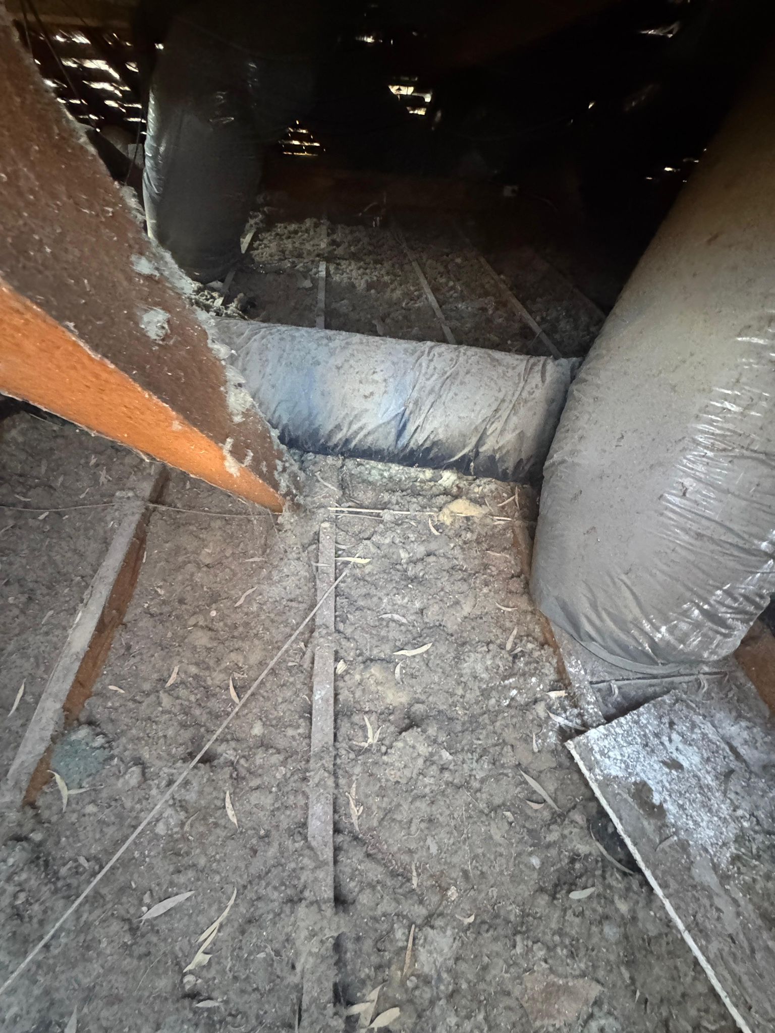 More old blow-in insulation in Doncaster East roof