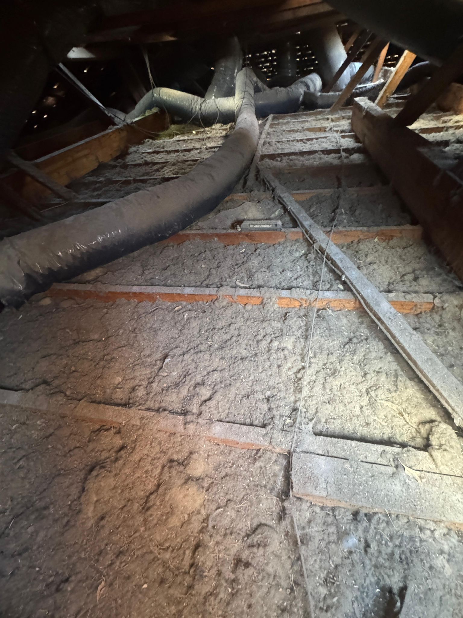 Old loose-fill insulation detail Doncaster East