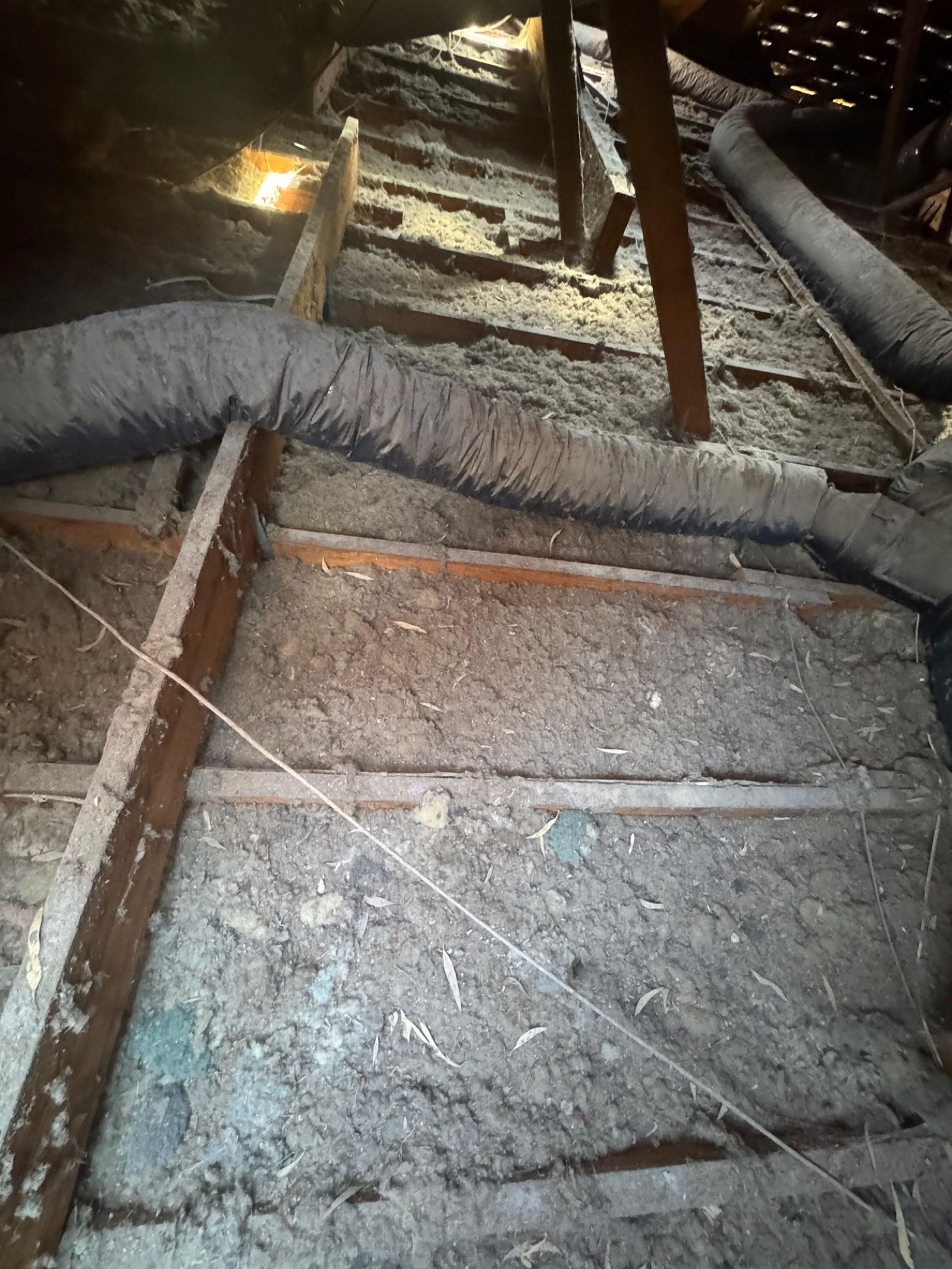Old blown-in insulation in Doncaster East before removal