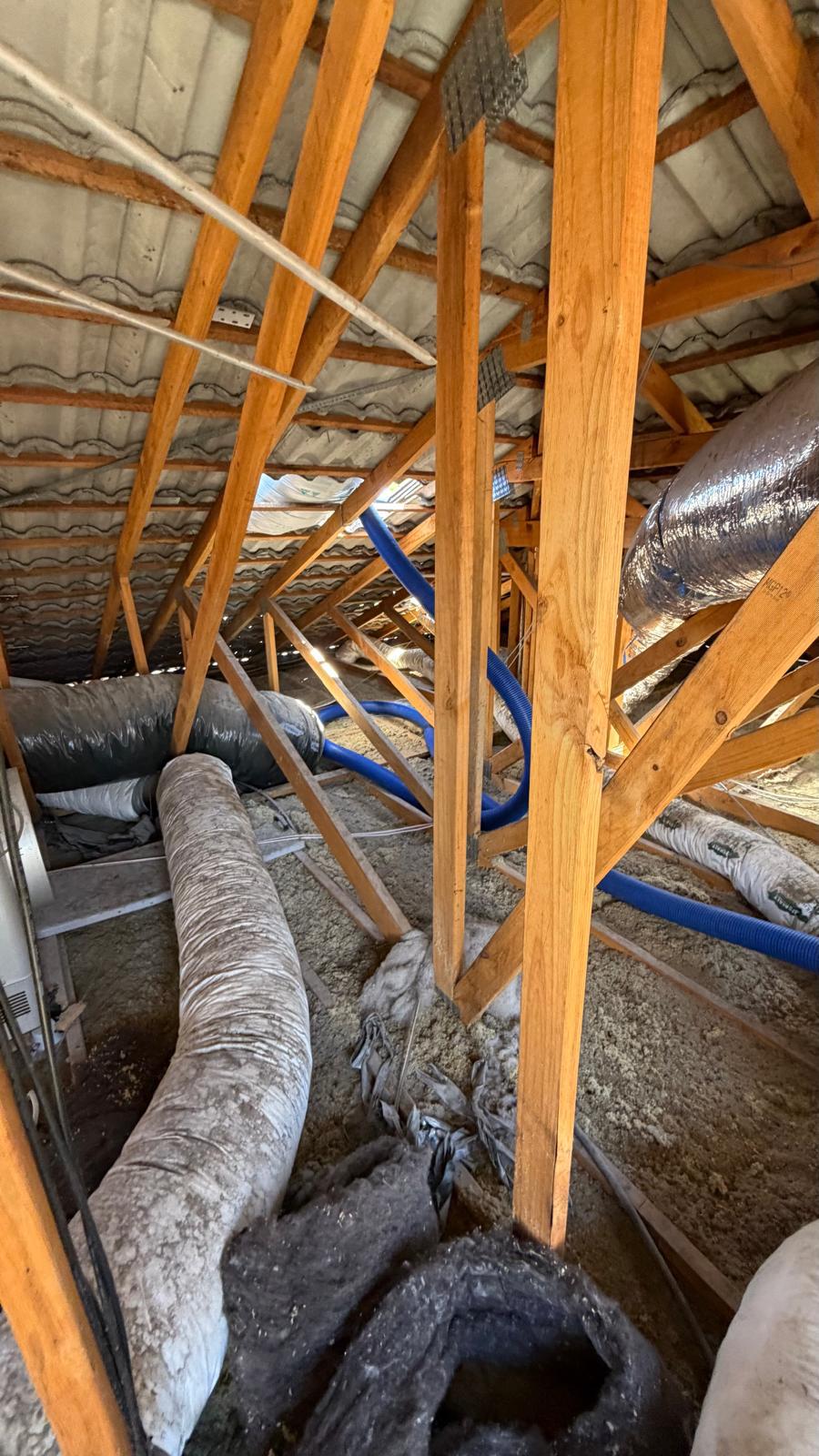 Settled blow-in insulation across Glen Waverley ceiling
