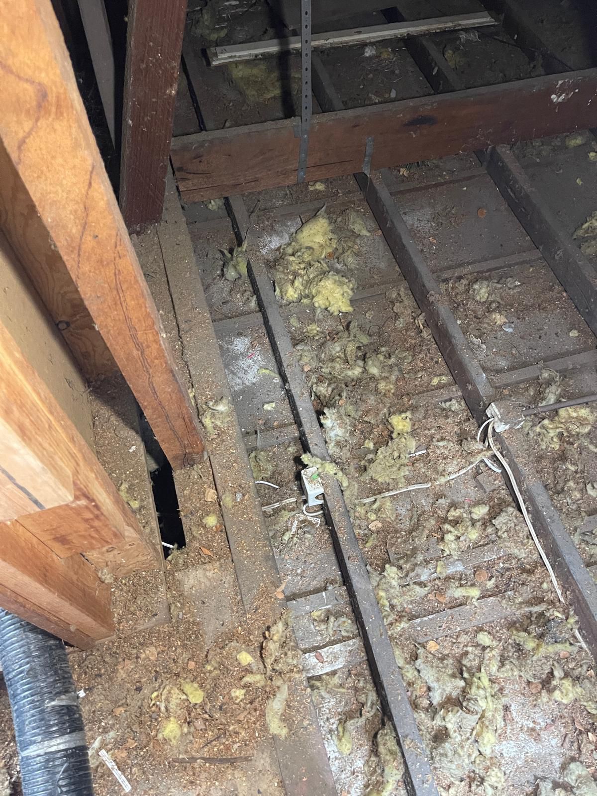 More deteriorated insulation batts in Kew roof space