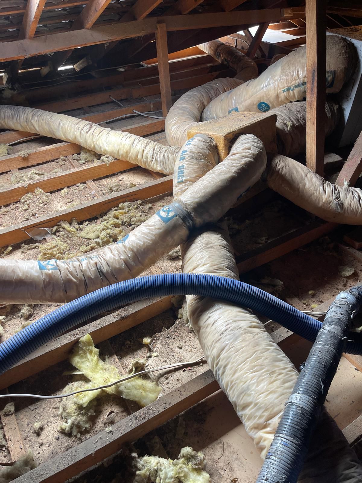 Deteriorated insulation batts in Kew before removal